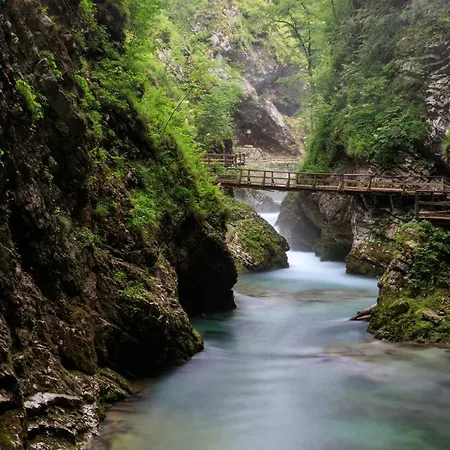 Mavrica Bled, Quiet Location, With A View Of The Lejlighed *