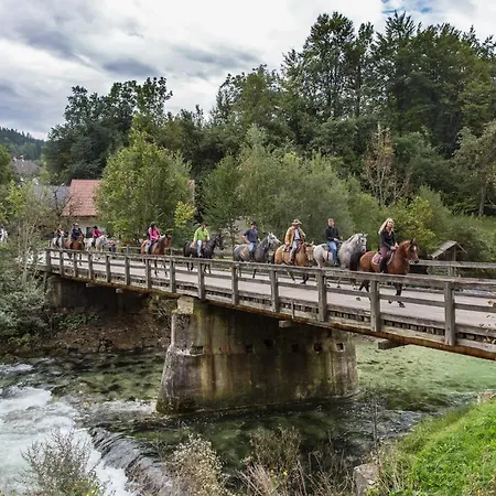 Mavrica Bled, Quiet Location, With A View Of The Bled