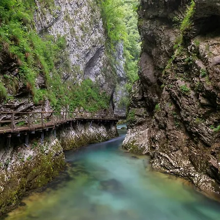 Lejlighed Mavrica Bled, Quiet Location, With A View Of The Bled