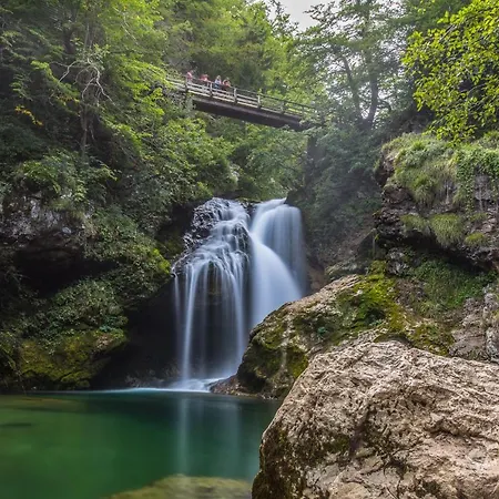 Mavrica Bled, Quiet Location, With A View Of The Lejlighed