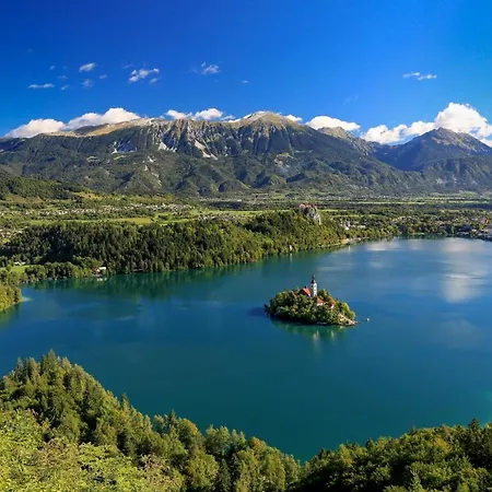 Lejlighed Mavrica Bled, Quiet Location, With A View Of The