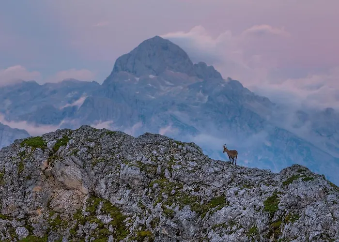 Mavrica Bled, Quiet Location, With A View Of The Appartamento Bled